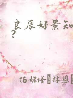 良辰好景知几何?