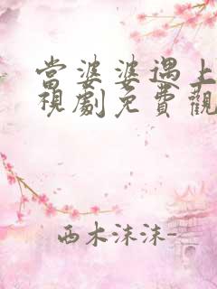 当婆婆遇上妈电视剧免费观看全集