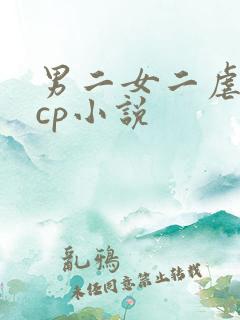 男二女二虐心副cp小说
