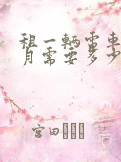 租一辆电车一个月需要多少钱