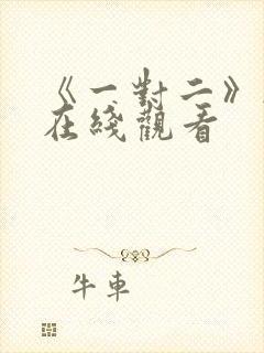 《一对二》韩剧在线观看