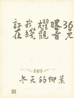 许我耀眼36集在线观看免费完整版