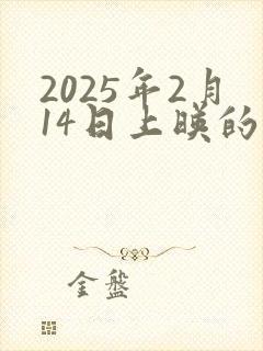 2025年2月14日上映的电影