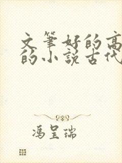 文笔好的高质量的小说古代言情