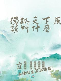 独孤天下原著小说叫什么