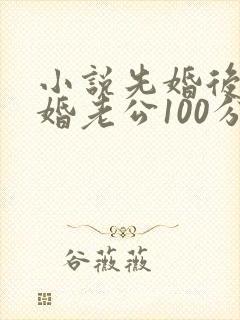 小说先婚后爱闪婚老公100分最新章节
