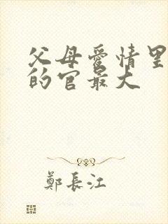 父母爱情里面谁的官最大