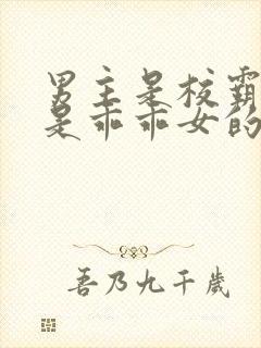 男主是校霸女主是乖乖女的校园宠文