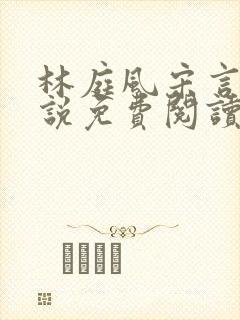 林庭风宋言汐小说免费阅读全文无弹窗