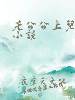 老公公上儿媳妇小说