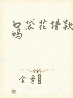 口袋花借款靠谱吗