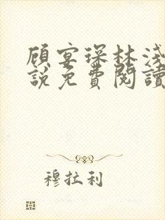 顾宴琛林浅月小说免费阅读最新章节