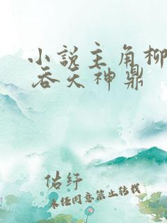 小说主角柳无邪 吞天神鼎