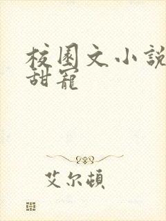 校园文小说推荐甜宠