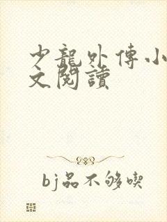 少龙外传小说全文阅读