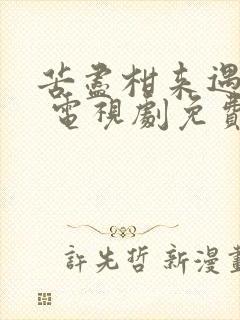 苦尽柑来遇见你 电视剧免费观看在线播放