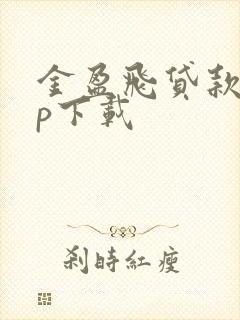 金盈飞贷款app下载