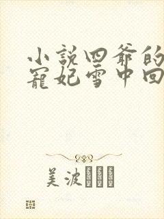 小说四爷的心尖宠妃雪中回眸