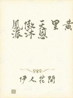 凤傲天里黄毛反派沐恩