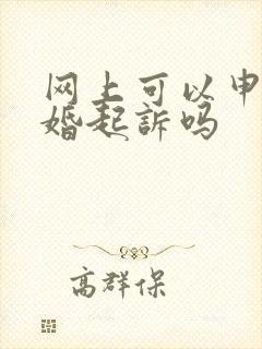 网上可以申请离婚起诉吗