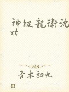 神级龙卫沈浪txt
