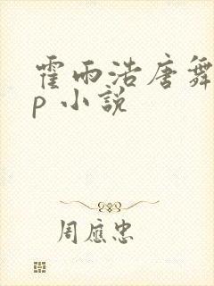 霍雨浩唐舞麟cp 小说