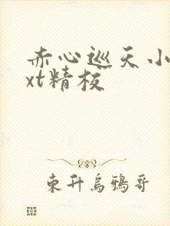 赤心巡天小说txt精校