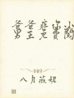 爸爸疼你小说双男主免费阅读