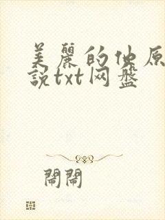 美丽的他原著小说txt网盘