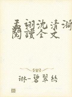 孟翊沈清漪免费阅读全文