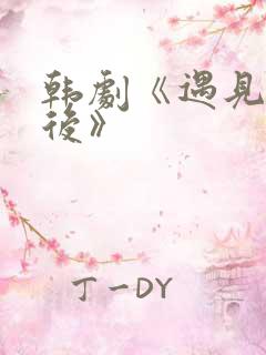 韩剧《遇见你之后》