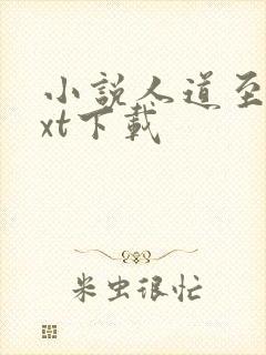 小说人道至尊txt下载