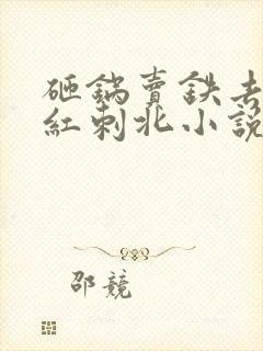 砸锅卖铁去上学红刺北小说