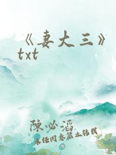 《妻大三》小说txt
