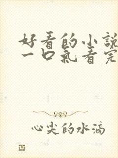 好看的小说推文一口气看完