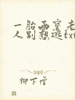 一胎两宝老婆大人别想逃txt下载