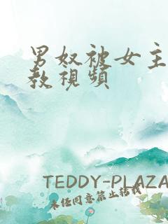 男奴被女主人调教视频