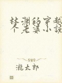 林渊的穿越娶三个老婆小说名字