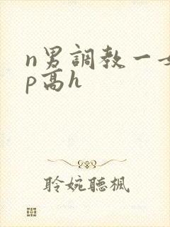n男调教一女np高h