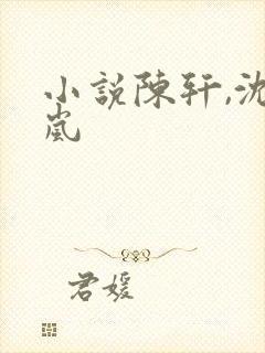 小说陈轩,沈冰岚