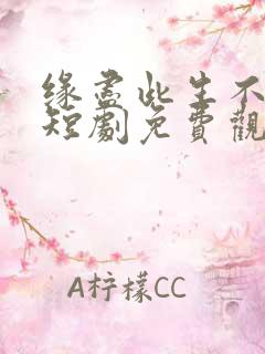 缘尽此生不相逢短剧免费观看