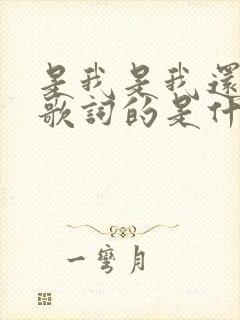 是我是我还是我歌词的是什么歌曲