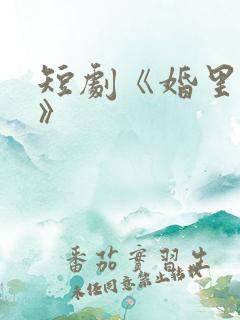 短剧《婚里婚外》