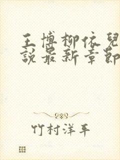 王博柳依儿的小说最新章节在线阅读