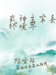 武神主宰秦尘最终境界