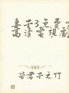 妻子3免费完整高清电视剧