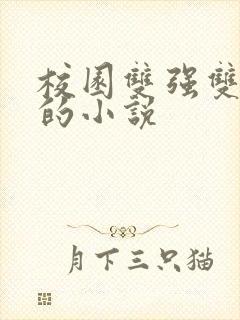 校园双强双男主的小说