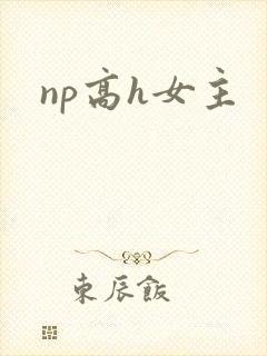 np高h女主