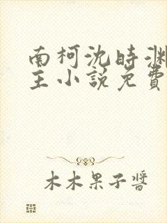 南柯沈时渊双男主小说免费阅读