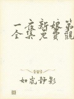 一夜新娘第一季全集免费观看完整版